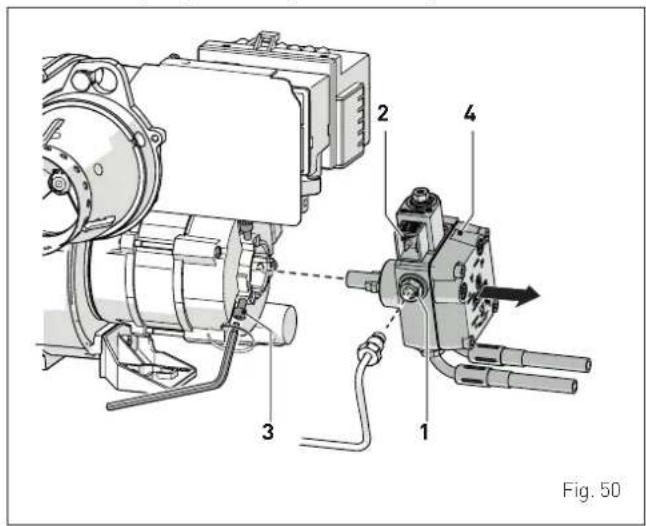 Fig. 50