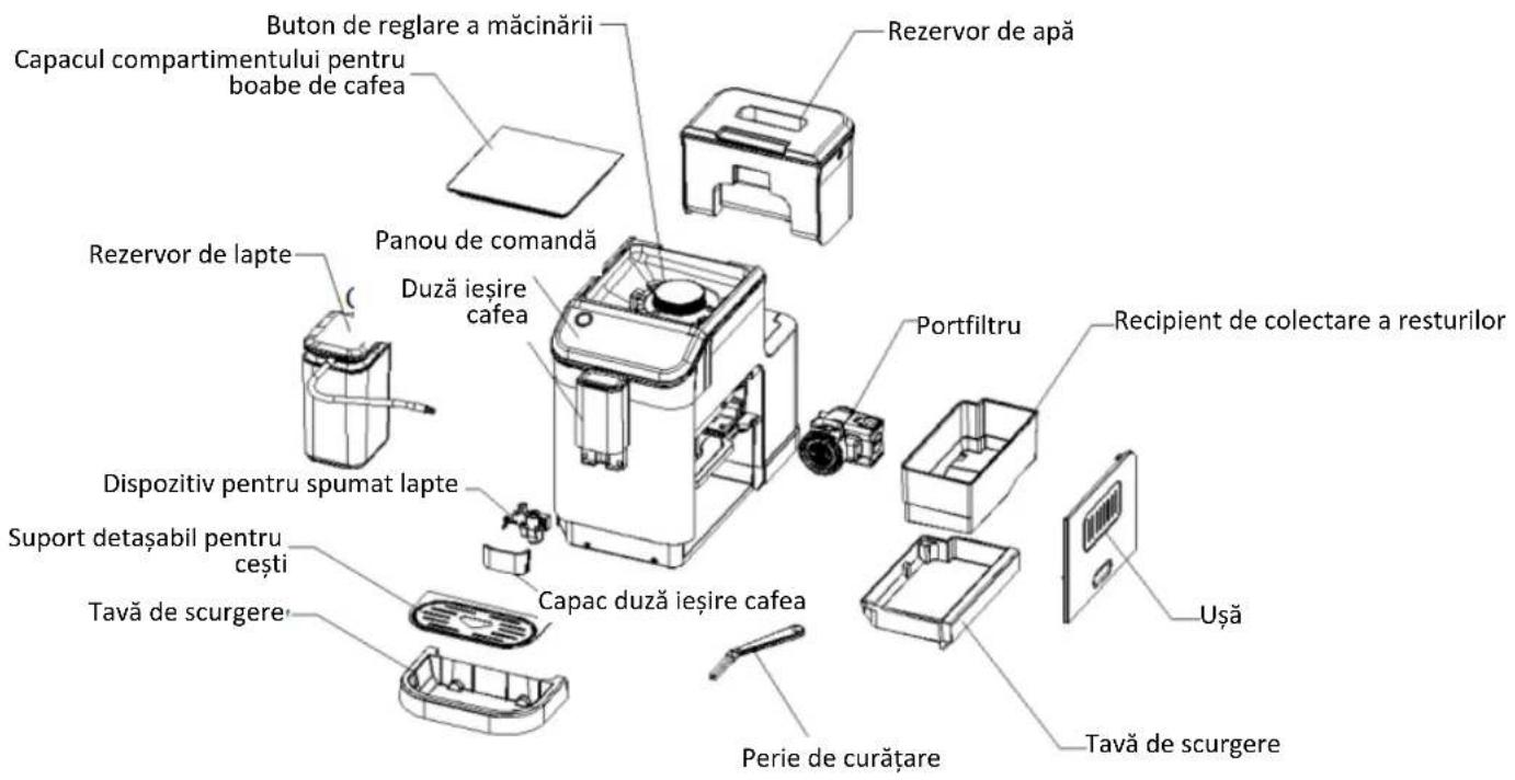 Buton de reglare a măcinării Capacul compartimentului pentru boabe de cafea Rezervor de apă Panou de comandă Duză ieșire cafea Portfiltru Recipient de colectare a resturilor Dispositiv pentru spumat lapte Suport detașabil pentru cești Tavă de scurgere Capac dužă ieșire cafea Perie de curățare Ușă Tavă de scurgere