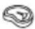 SUNBEAM Alinea DiamondForce 4L AFP4505BK - For AFP4510BK Only - 3