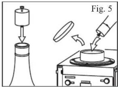 Fig. 5