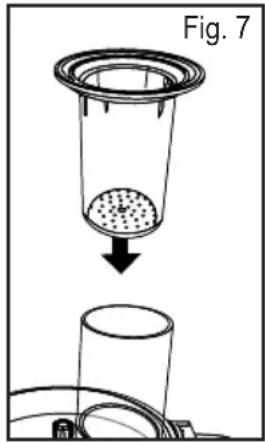 Fig. 7