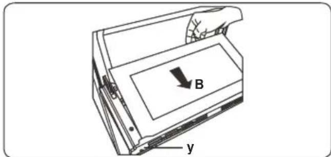 B y