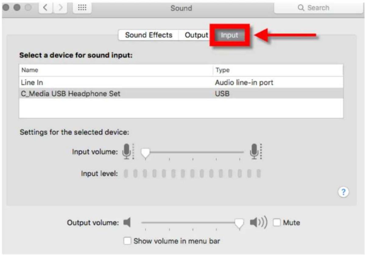 Sound Effects Output Input Select a device for sound input: Name Type Line In Audio line-in port C_Media USB Headphone Set USB Settings for the selected device: Input volume: Input level: Output volume: Mute Show volume in menu bar