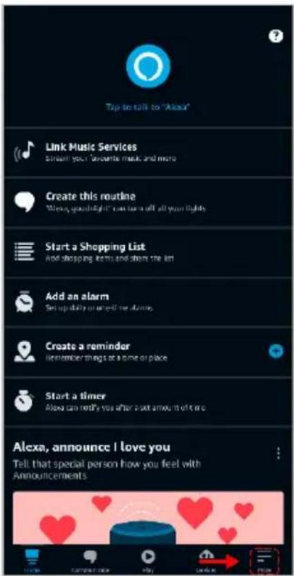 Tip to talk to "Alexa" Link Music Services Create this routine "Alexa, gooshidight" can turn off all your lights Start a Shopping List Add shopping items and share the list Add an alarm Set up daily or once if me always Create a reminder Remember things at a time or place Start a timer Alexa can notify you after a set amount of time Alexa, announce I love you Tell that special person how you feel with Announcements