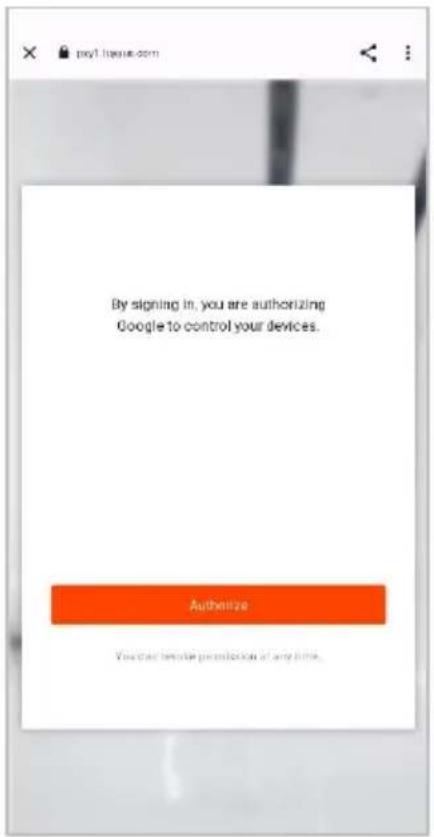 By signing in, you are authorizing Google to control your devices. Authorize You can invite permission of any time.