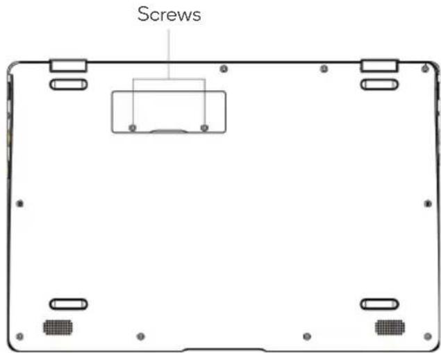 Screws