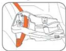 Baby Trend Venture - Installation of the Safety Seat / Vehicle Belt Installation of Base: - 2