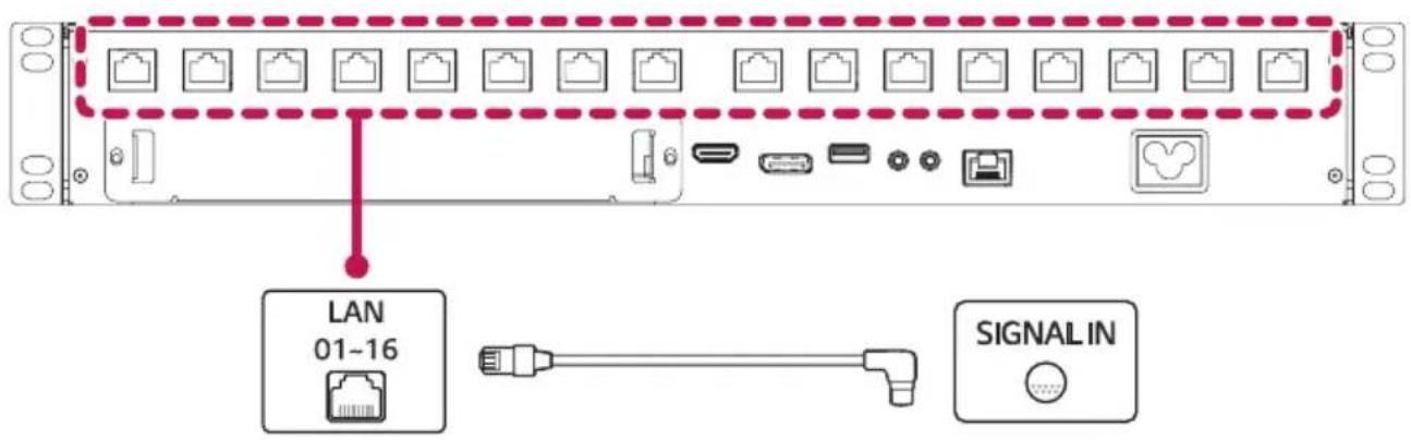 LAN 01-16 SIGNAL IN