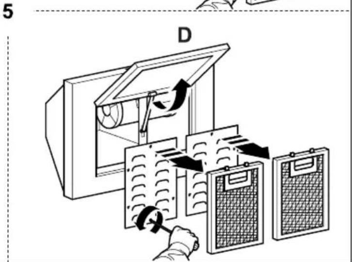 5 D