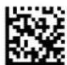 Unitech MS282 - Grid Matrix 左右反転イメージの読取り - 3
