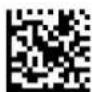 Unitech MS282 - Grid Matrix 左右反転イメージの読取り - 2