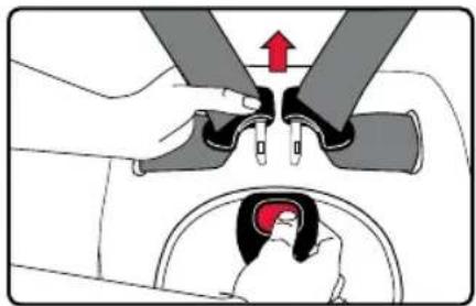 BRITAX Grow With You ClickTight - Utilización de la hebilla del arnés - 2