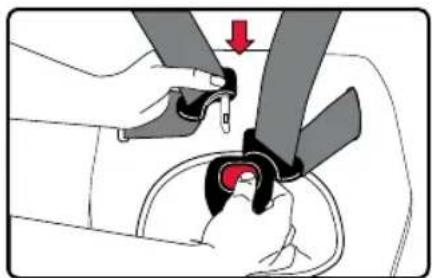 BRITAX Grow With You ClickTight - El modo de arnés al modo regulable: Almacenamiento del arnés y la hebilla - 13