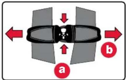a b