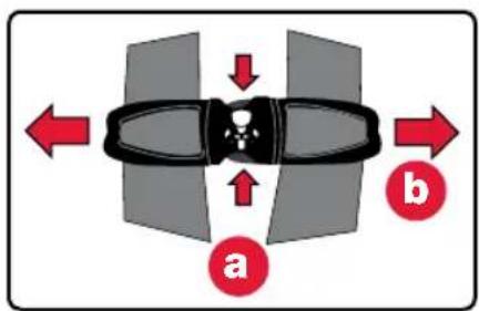 a b
