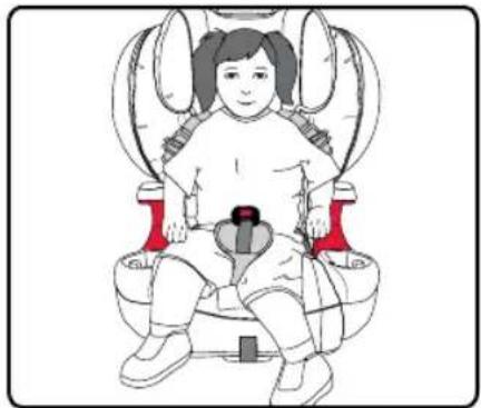BRITAX Grow With You ClickTight - GROW WITH YOU CLICKTIGHT / PLUS Guía del usuario - 1