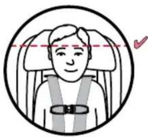 BRITAX Grow With You ClickTight - Modo de arnés - 1