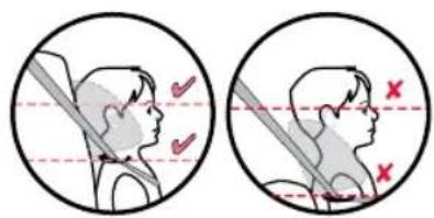 BRITAX Grow With You ClickTight - Modo de arnés - 3