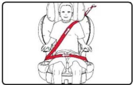 BRITAX Grow With You ClickTight - GROW WITH YOU CLICKTIGHT / PLUS Guía del usuario - 2