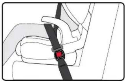 BRITAX Grow With You ClickTight - GROW WITH YOU CLICKTIGHT / PLUS Guía del usuario - 1