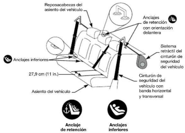 Reposacabezas del asiento del vehículo Anclajes de retención con orientación delantera Sistema retractil del cinturón de seguridad del vehículo Anclajes inferiores 27,9 cm (11 in.) Asiento del vehículo Cinturón de seguridad del vehículo con banda horizontal y transversal Anclaje de retención Anclajes inferiores