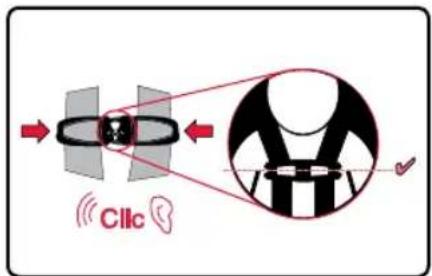 Cllc