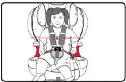 BRITAX Grow With You ClickTight - GROW WITH YOU CLICKTIGHT / PLUS Guía del usuario - 2