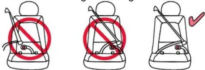 BRITAX Grow With You ClickTight - ADVERTENCIA! - 2