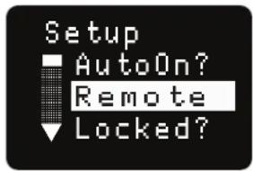 Setup ■ AutoOn? Remote Locked?