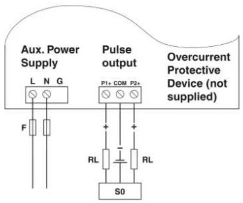 Aux. Power Supply L N G F Pulse output P1+ COM P2+ RL RL S0 Overcurrent Protective Device (not supplied)