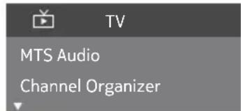 MTS Audio Channel Organizer