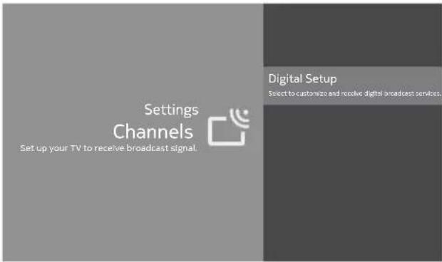 Settings Channels Set up your TV to receive broadcast signal. Digital Setup Select to customize and receive digital broadcast services.