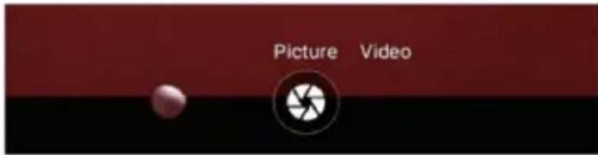 Picture Video