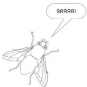 SRRRI!