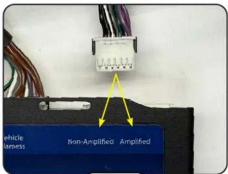 vehicle Harness Non-Amplified Amplified