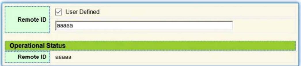 Remote ID User Defined aaaaa Operational Status Remote ID aaaaa