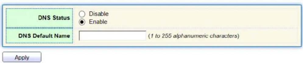 DNS Status Disable Enable DNS Default Name (1 to 255 alphanumeric characters) Apply