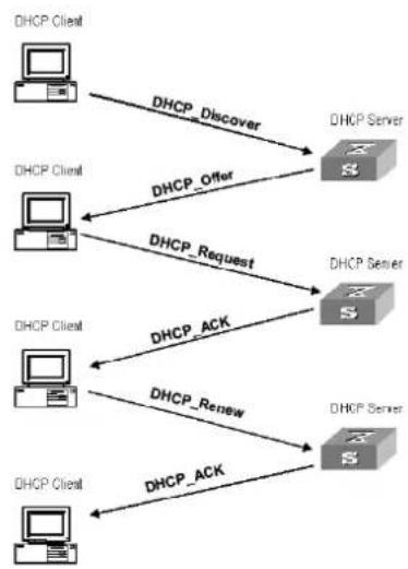 graph TD A["DHCP Client"] -->|DHCP Discover| B["DHCP Server"] A -->|DHCP Offer| C["DHCP Server"] A -->|DHCP Request| D["DHCP Server"] E["DHCP Client"] -->|DHCP ACK| F["DHCP Server"] E -->|DHCP Renew| G["DHCP Server"] E -->|DHCP ACK| H["DHCP Client"]