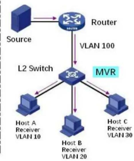 graph TD A["Source"] --> B["Router"] B -->|VLAN 100| C["L2 Switch"] C --> D["Host A Receiver VLAN 10"] C --> E["Host B Receiver VLAN 20"] C --> F["Host C Receiver VLAN 30"] B -->|VLAN 100| G["MVR"]