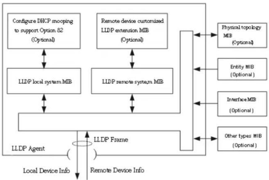 graph TD A["Configure DHCP snooping to support Option 82 (Optional)"] <--> B["LLDP local system MIB"] C["Remote device customized LLDP extension MIB (Optional)"] <--> D["LLDP remote system MIB"] E["LLDP Agent"] --> F["Local Device Info"] F --> G["LLDP Frame"] G --> H["Remote Device Info"] I["Physica…