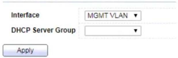 Interface MGMT VLAN DHCP Server Group Apply