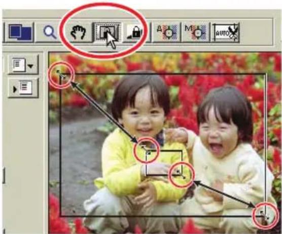 Screenshot of photo editing software interface showing tool icons and a photo of two smiling children in a garden setting