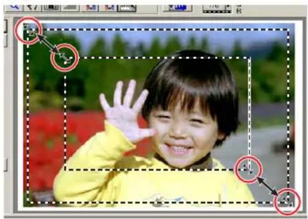MINOLTA DiMAGE Scan Elite II - To enlarge or reduce the cropping frame... - 1
