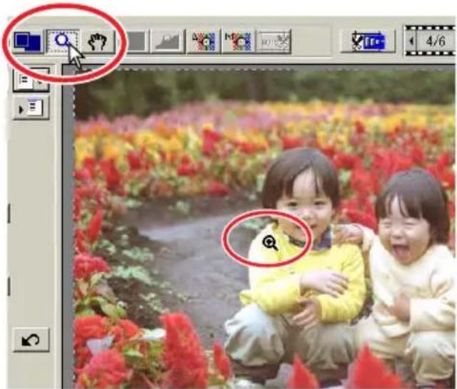 MINOLTA DiMAGE Scan Elite II - To zoom out, hold the control key (Windows) or option key (Macintosh) down and click on the image. - 1