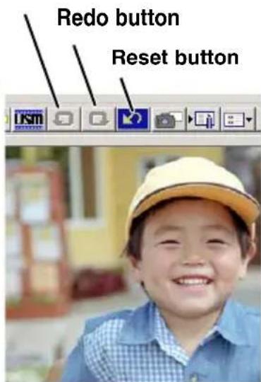 Redo button Reset button