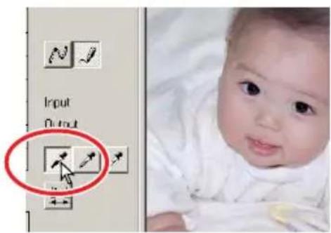 Input Output