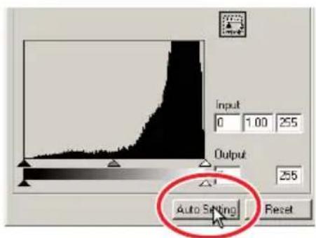 Input 0 1.00 255 Output Auto Setting Reset