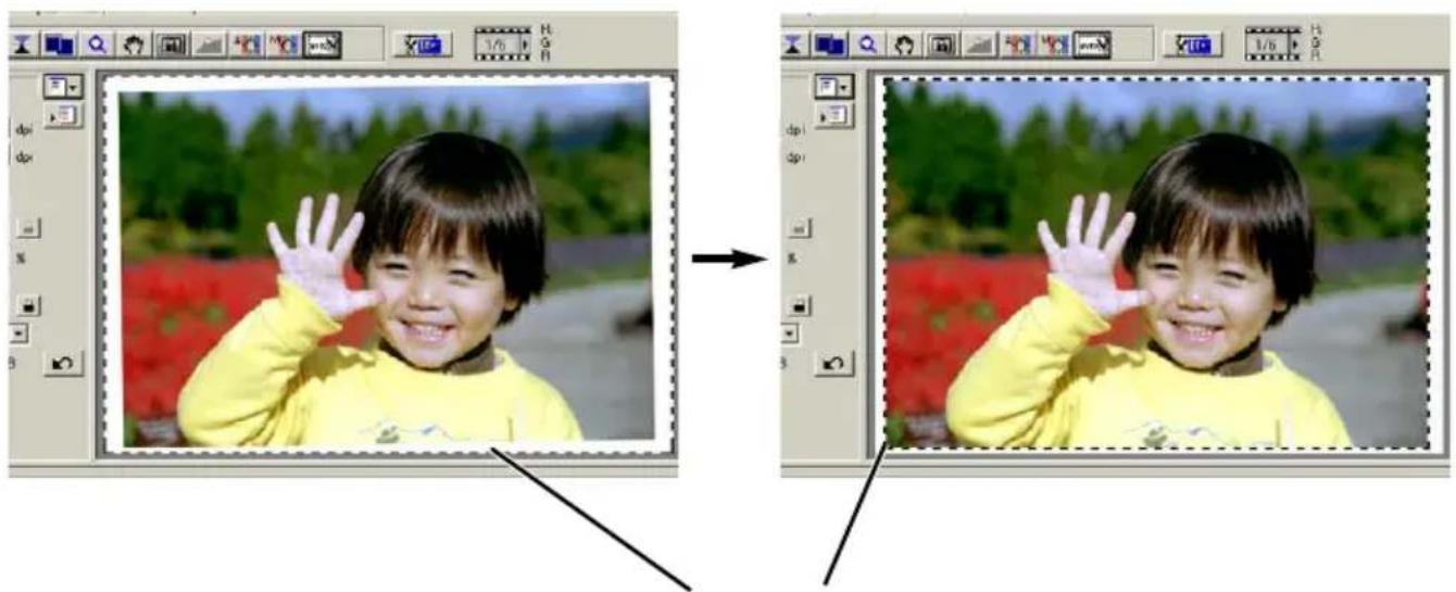 MINOLTA DiMAGE Scan Elite II - After making the prescan, click the auto-cropping button - 2