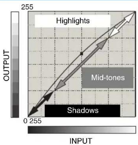 MINOLTA DiMAGE Scan Elite II - ABOUT THE TONE CURVE - 1
