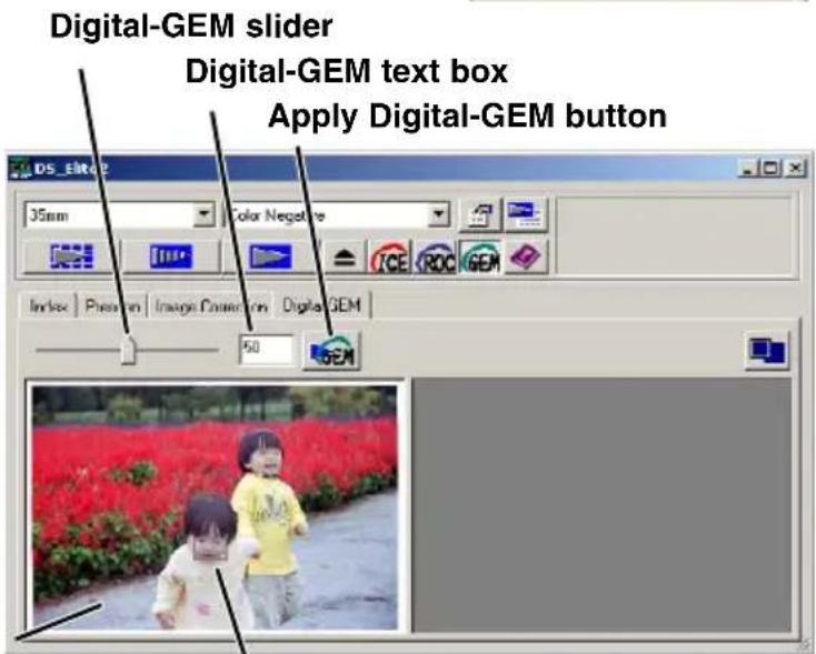 Digital-GEM slider Digital-GEM text box Apply Digital-GEM button 35mm Color Negative Index Position Image Compression Digital GEM 50 GEM